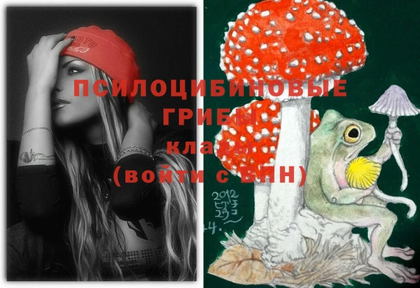 ECSTASY Бронницы