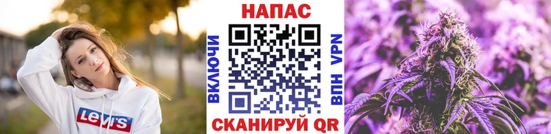 mega tor  Электрогорск  Шишки марихуана гибрид  купить наркотики цена 